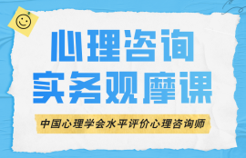 实务观摩课程（中国心理学会水平评价心理咨询师）